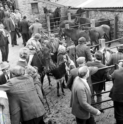 Hawes, Horse Fair, 1972